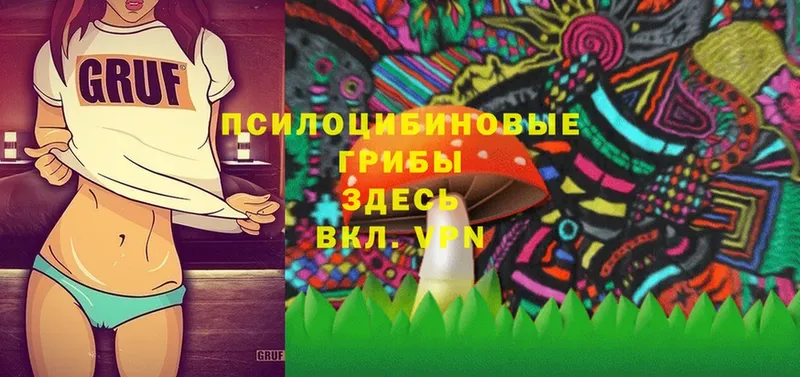 Галлюциногенные грибы Cubensis Краснозаводск